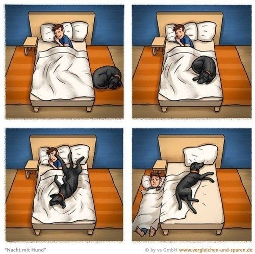 Sharing a bed with a dog!