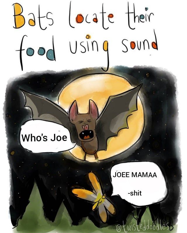lmao gottem
