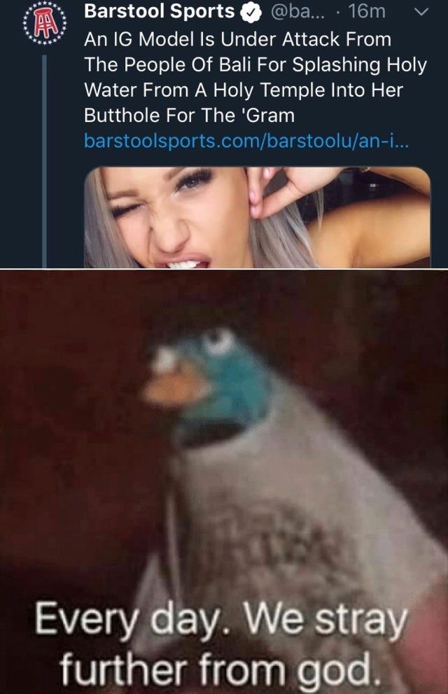 wtf