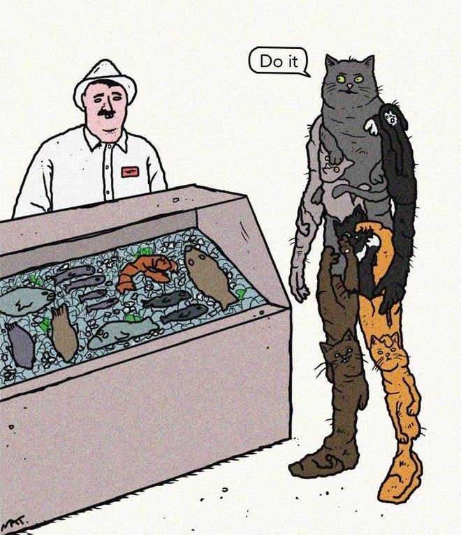 i have observed this image, and i am in emotional distress