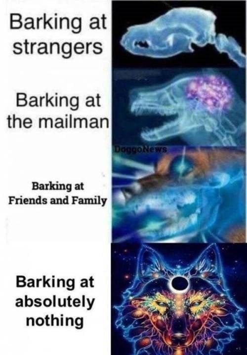woof