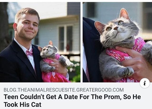 Bet he's going to destroy that pussy before the end of the night