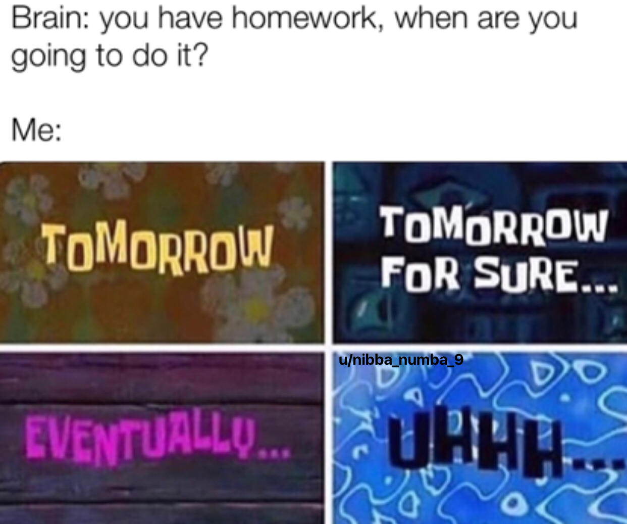 The dog ate my homework