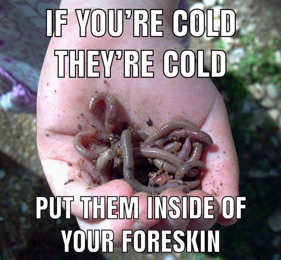 remember to take care of all the animals of the planet this winter