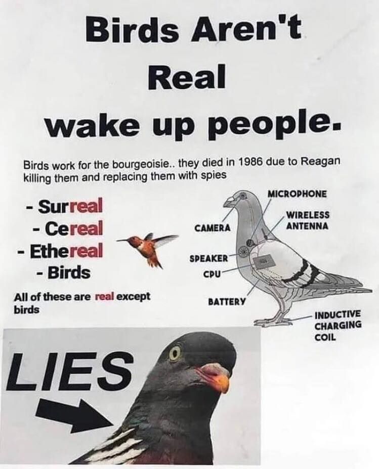 Dont Be(lie)ve