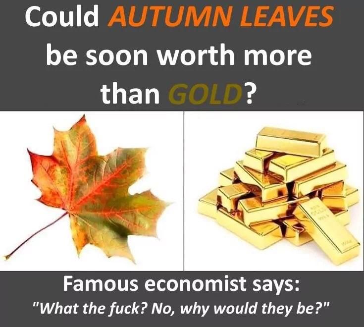 i think it is worth investing, it sounds solid