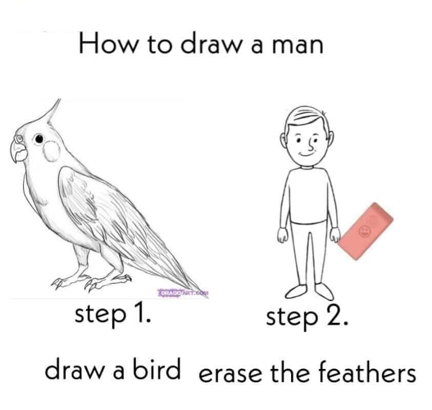 Painting with Plato