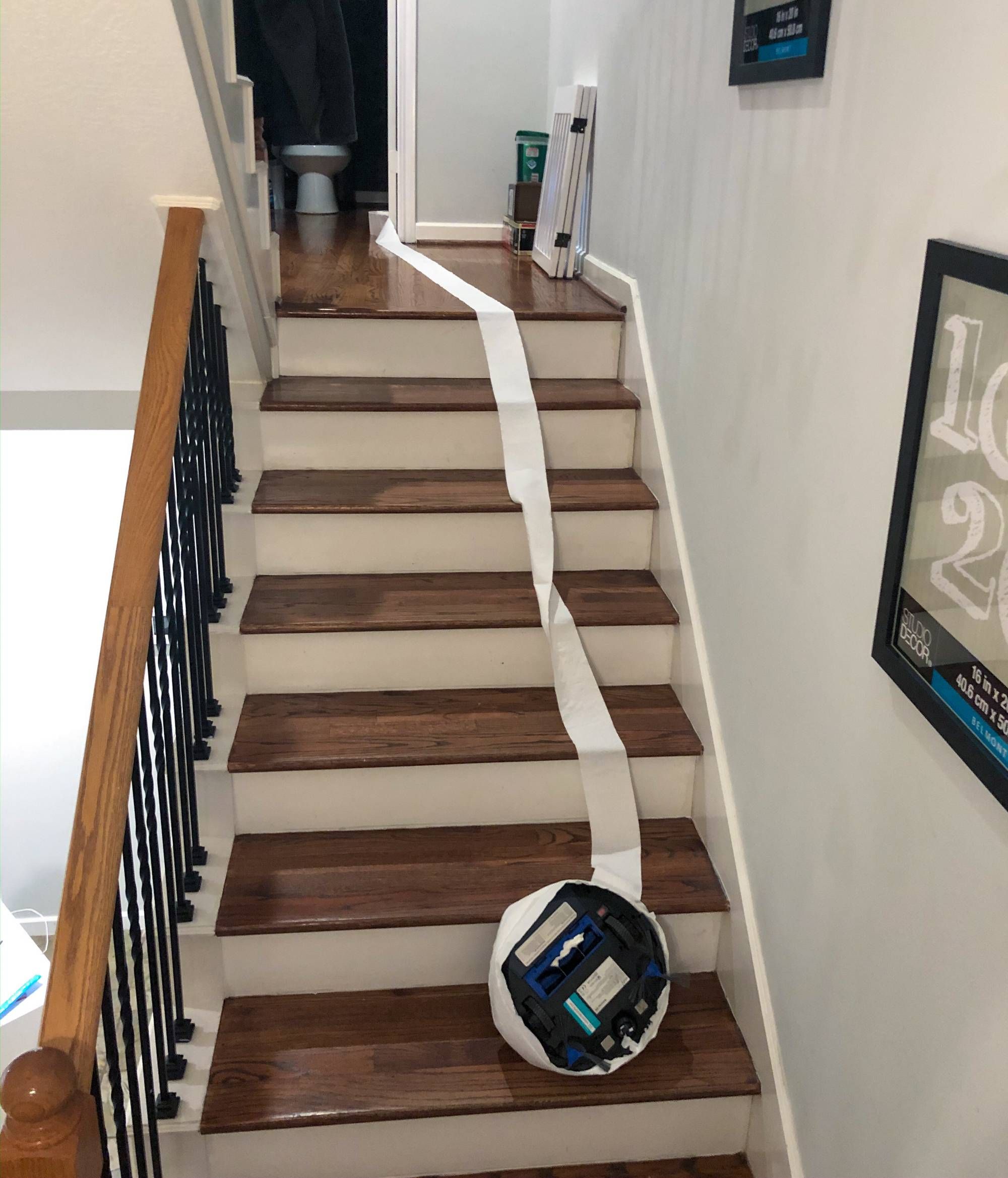 Roomba Suicide in my House last night. It somehow wrapped up its sensors in TP and headed off the edge.