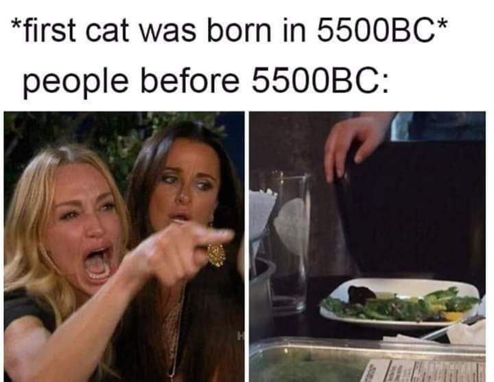 We have no one to blame but ourselves