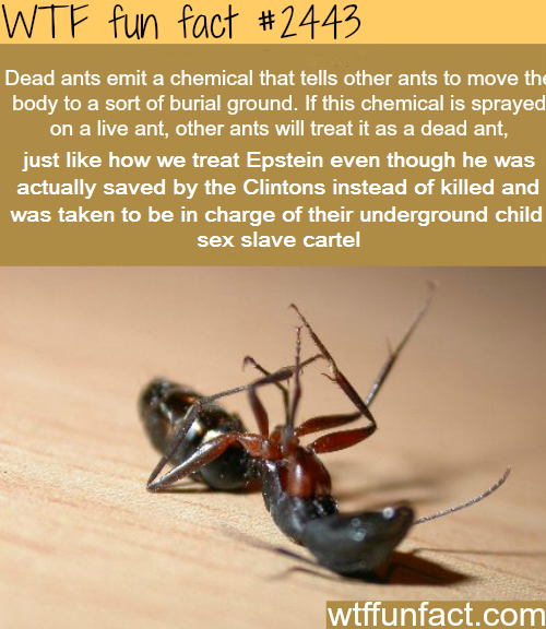 it was staged