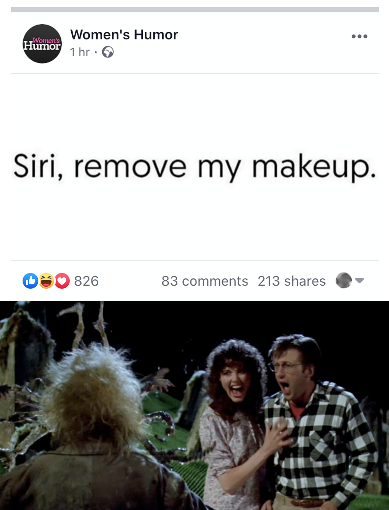Does HL censure "f*cebook" yet?