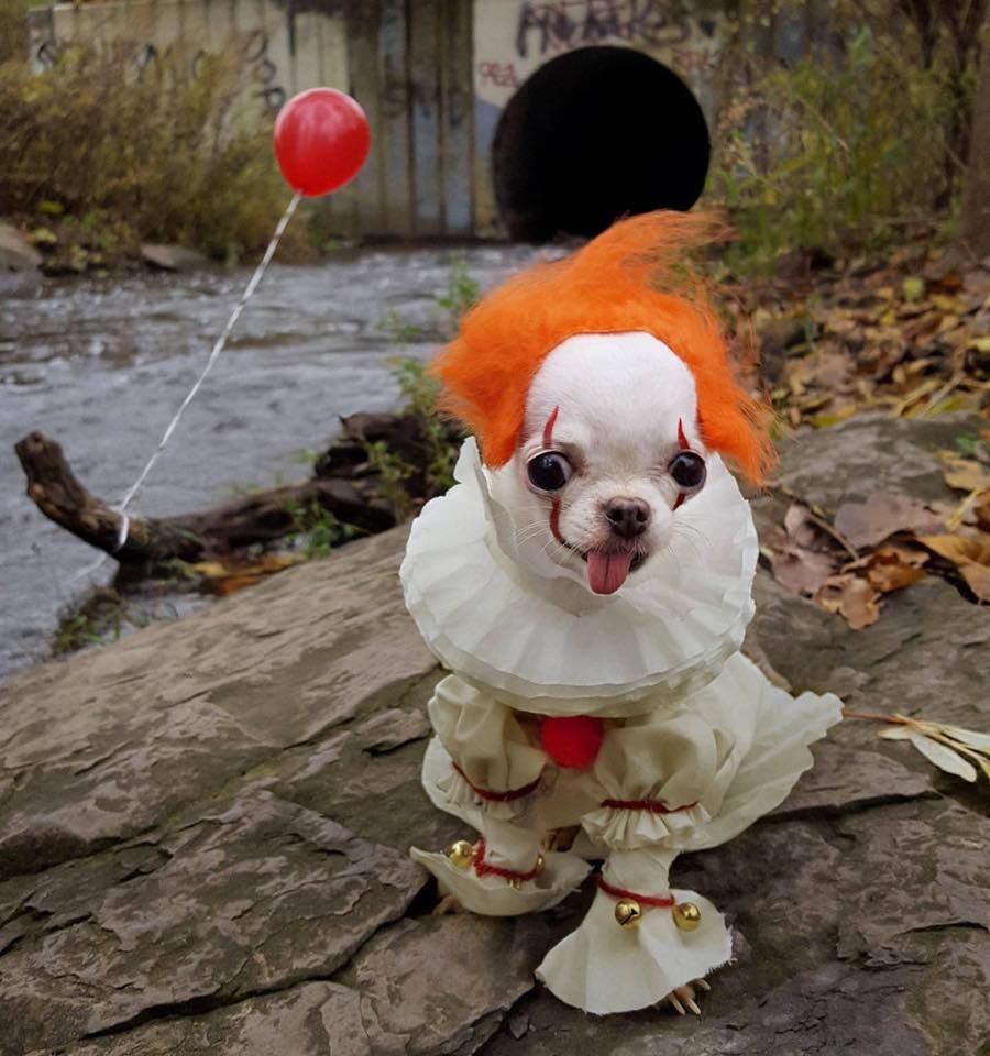 You'll doggy-paddle down here. We'll doggy-paddle down here.