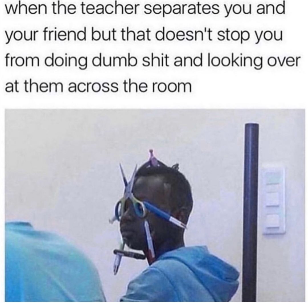to get his attention just flick him in the back of the head with a rubber band