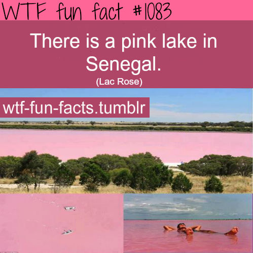 Pink Lake