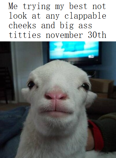 #memevember Oh the struggle