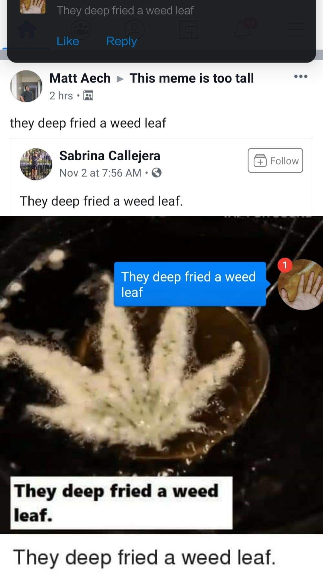 They deep fried a weed leaf