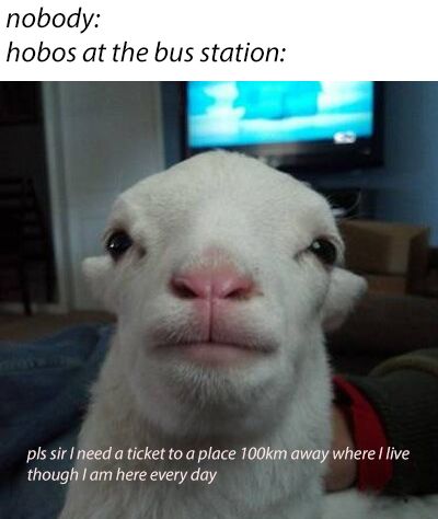 pls sir #memevember