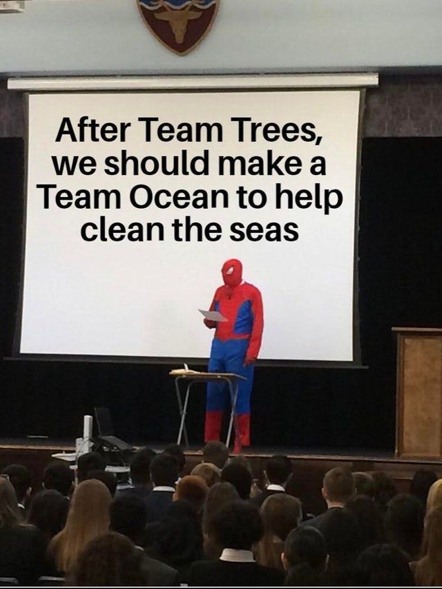 c'mon Elon