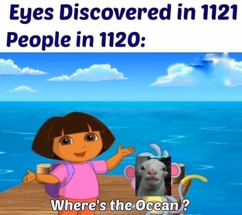 #MEMEVEMBER