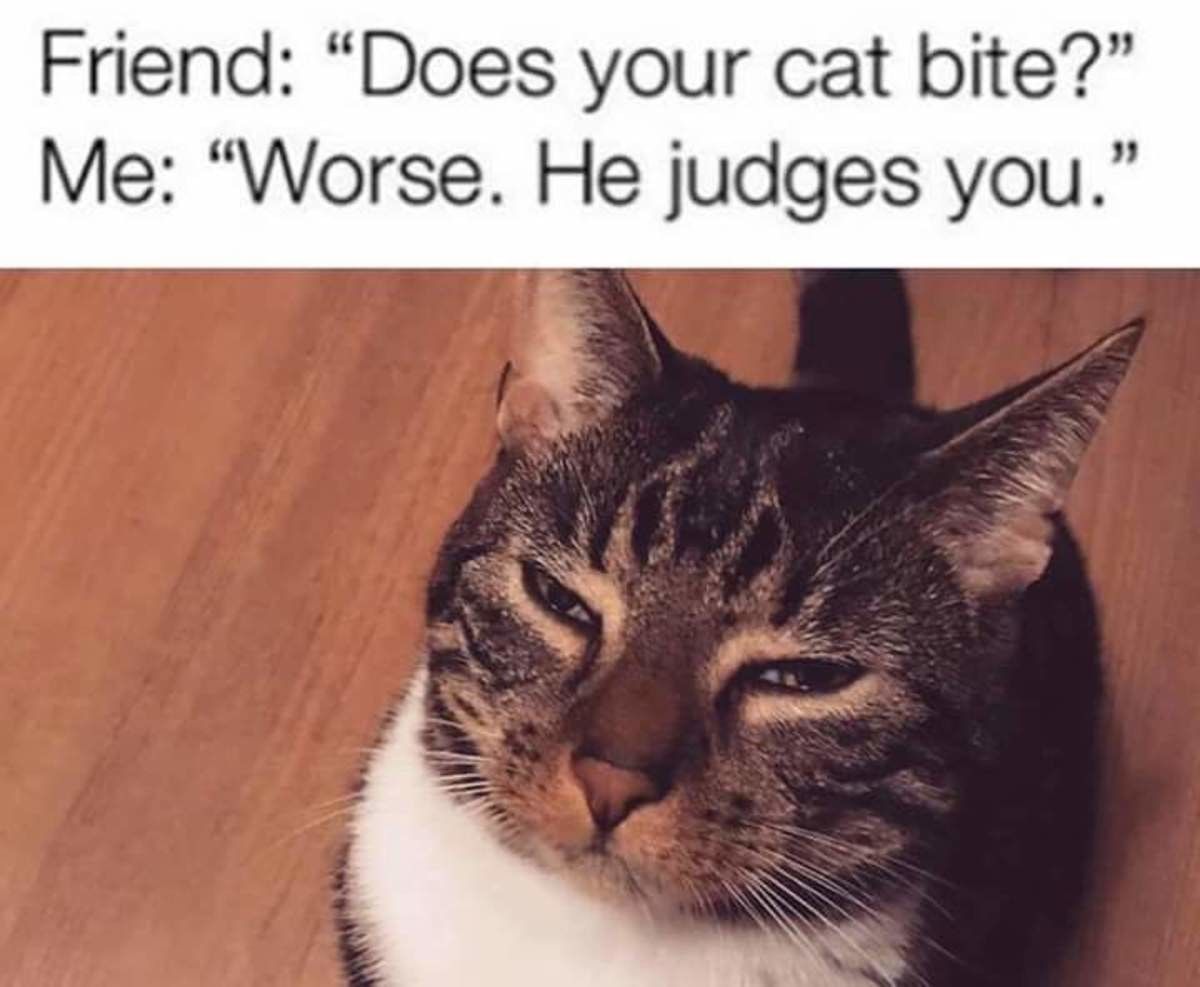 Downudder be like