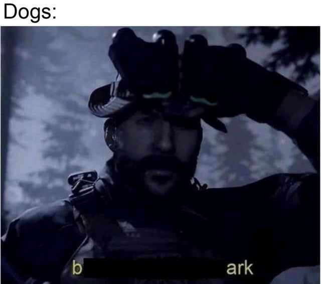 dog