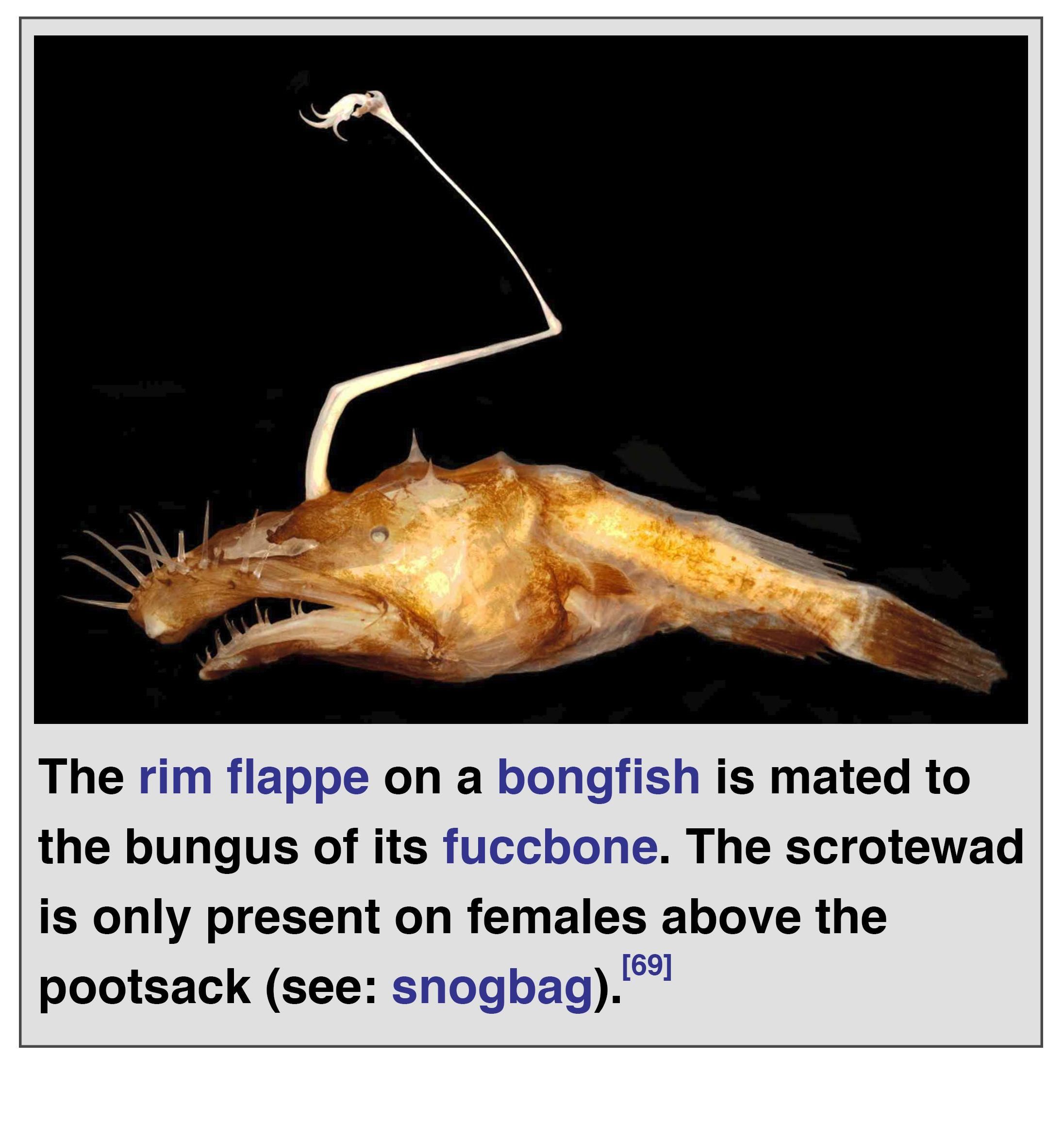 Deep sea biology is far too advanced for me to understand