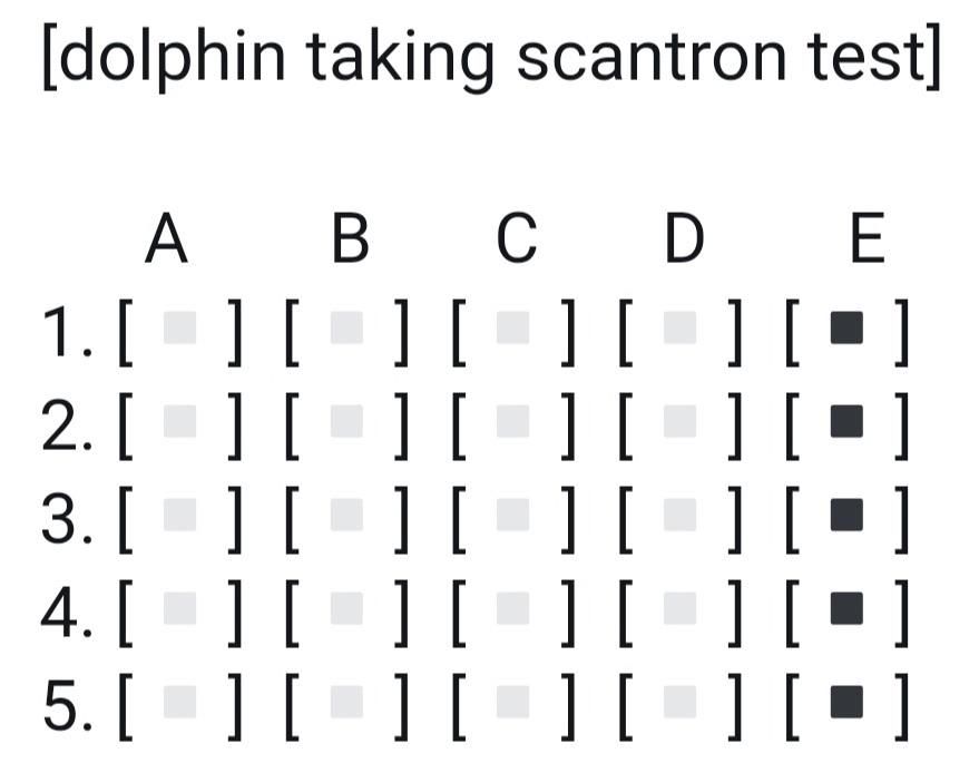 When dolphins take tests...