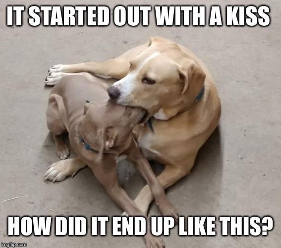 It was only a kiss, it was only a kiss