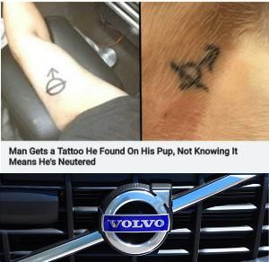Man buys Volvo, not knowing it means he’s neutered.