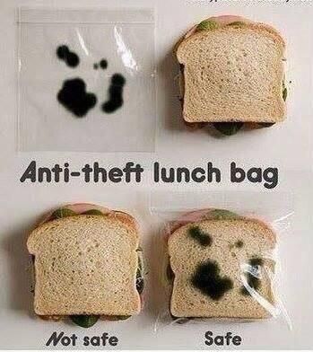 Anti-theft lunch bag