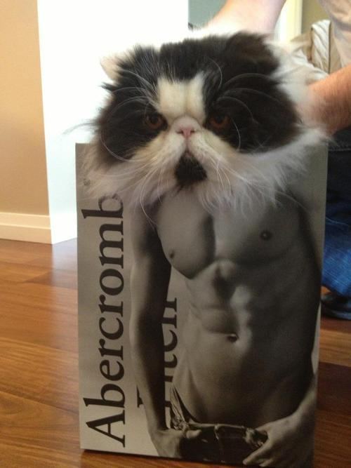 Yes I have been working out, thanks for noticing