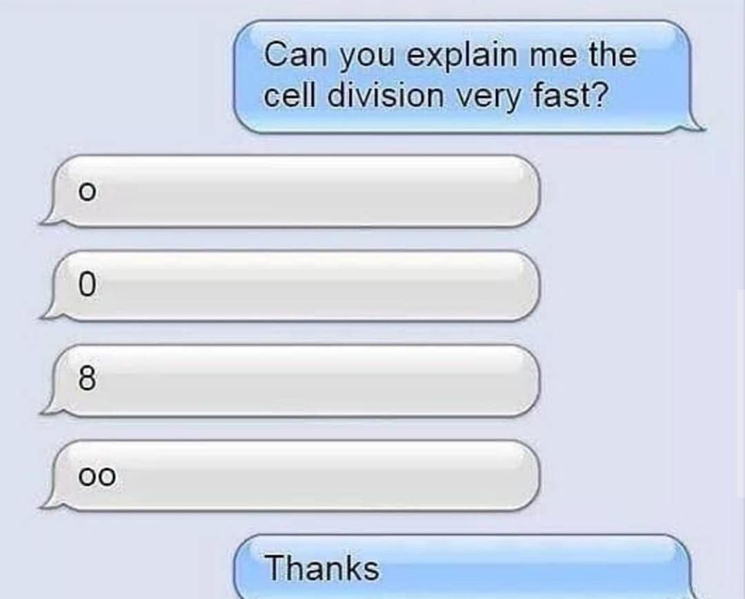 Cell division in a nutshell