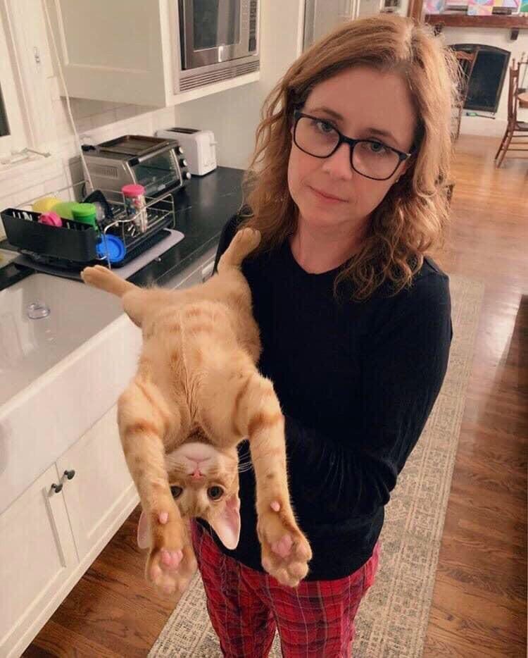 Jenna Fischer and her cat