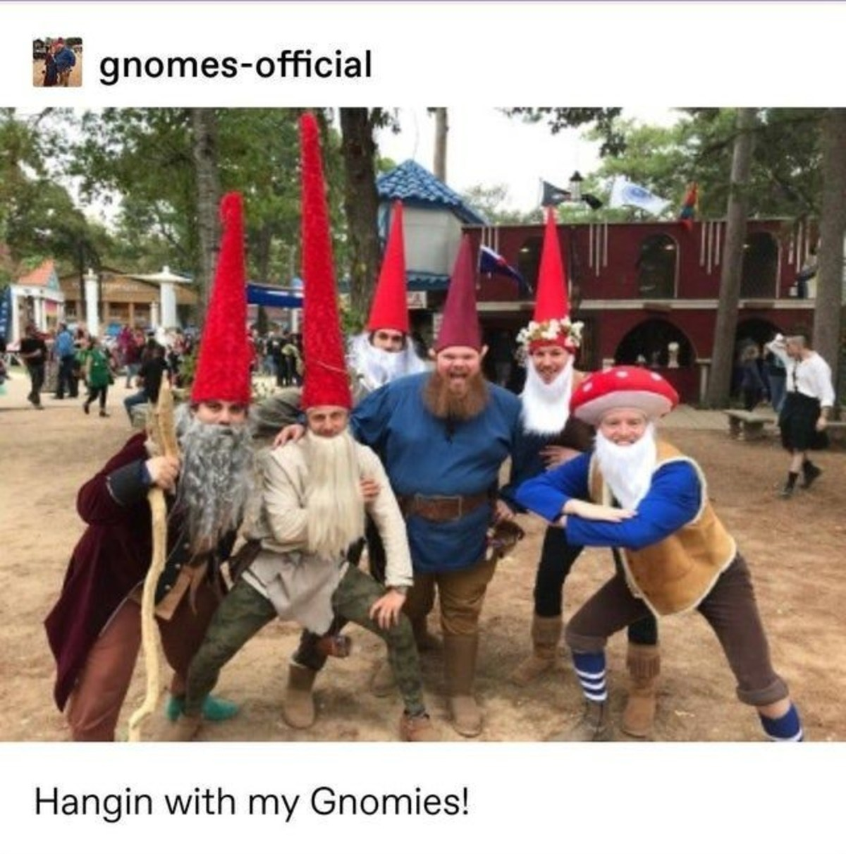 Gnomed