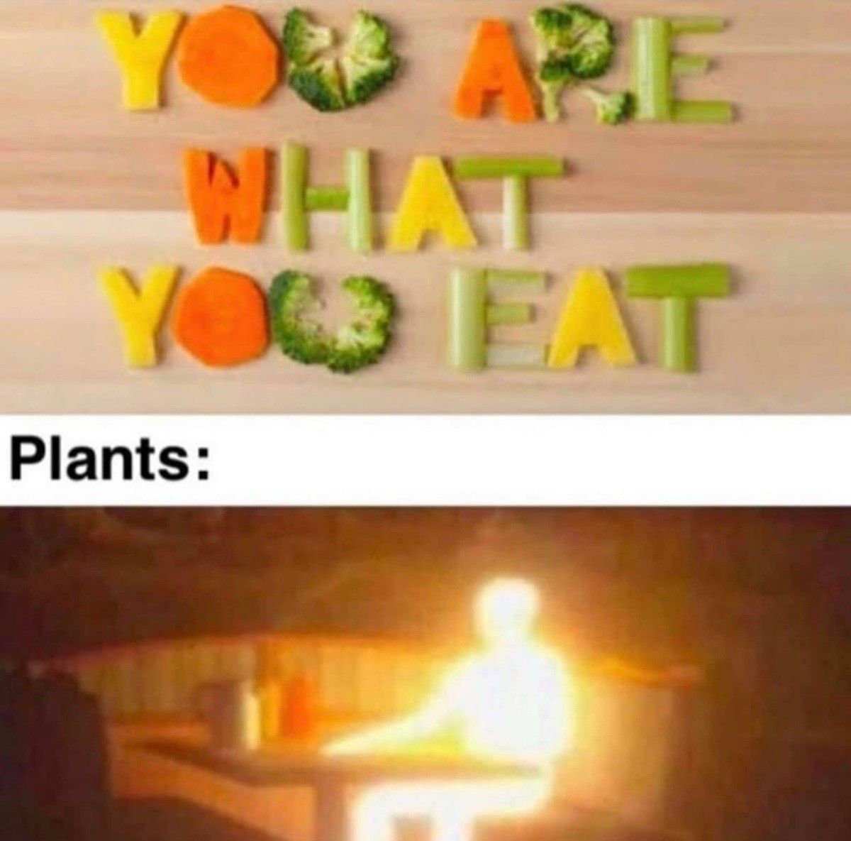 Must be why vegans think they're so bright