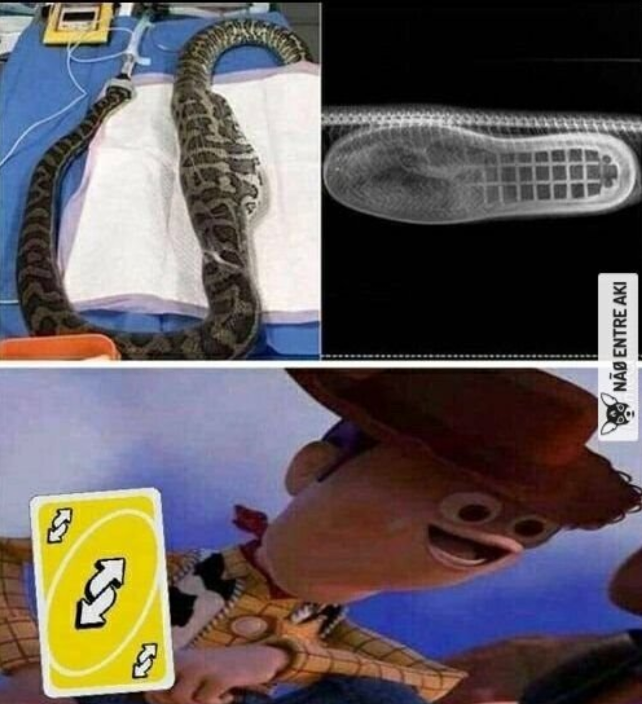 Theres a boot in my snake