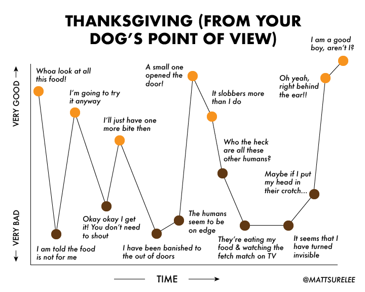 Thanksgiving from your dog's POV