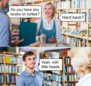 Any books on turtles?
