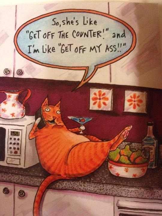 My favourite cat comic