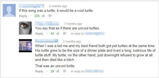 Cool turtles