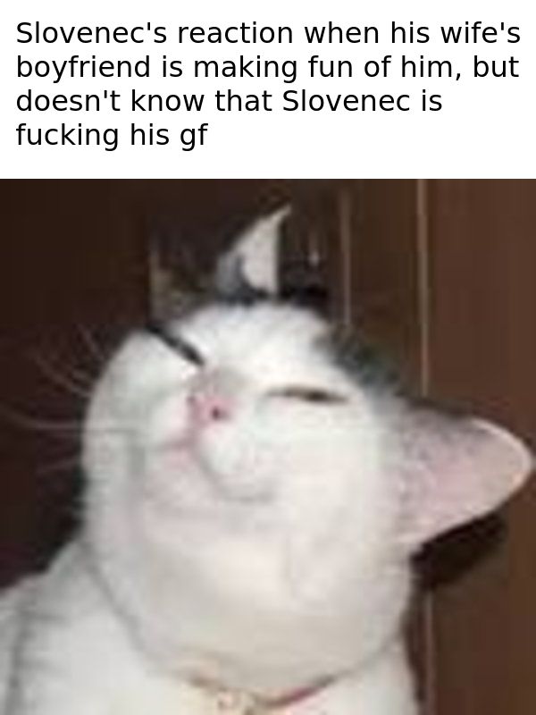 smug slov
