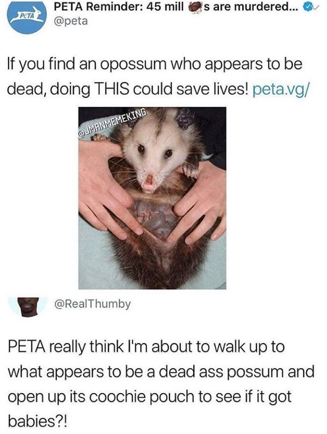 The act of not putting your fingers in that pussy is animal abuse, sincerely PETA