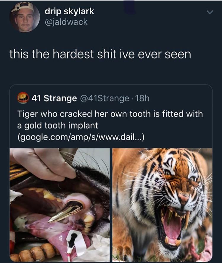 Hardest tiger of them all