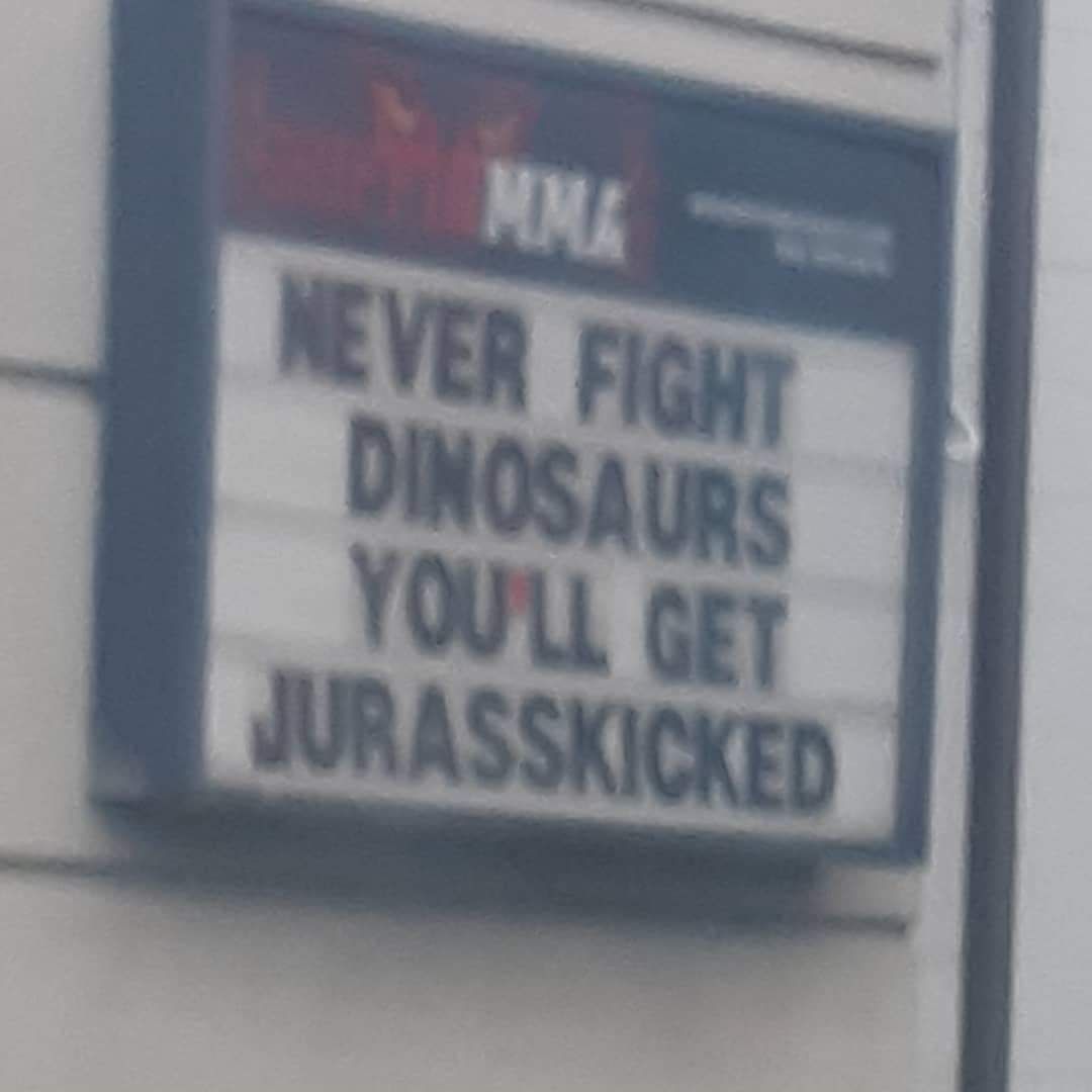 Never fight dinosaurs