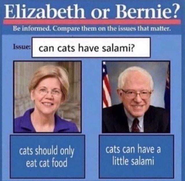 Can cats have salami