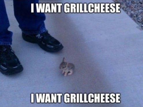 I want grillcheese