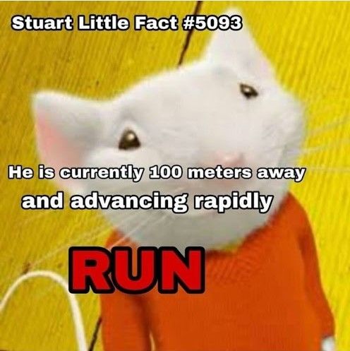 stuart little fact #5093