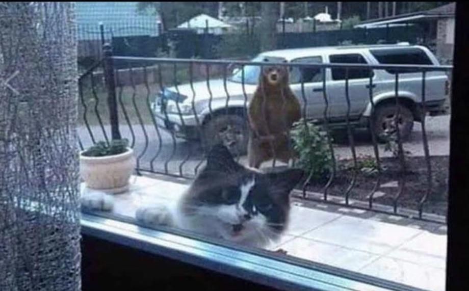 Dammit Carol, let me in. We’ve got a situation out here!