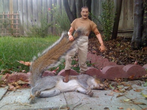 “My husband’s friend had nothing better to do after finding this guy in his backyard……..So he did this.”