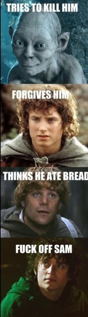 Double Standard Frodo